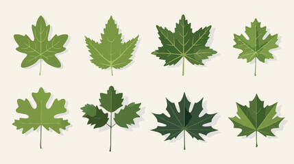 Leaf icons vector design leaves green concept illustration