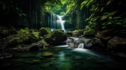 Foto op Aluminium waterfall in the forest hills. © Shades3d