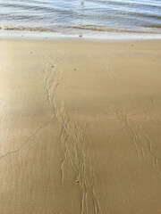 Sandy beach in Thailand