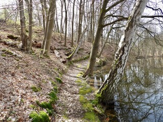 Wanderung zu den Liebenröder Trichterseen 