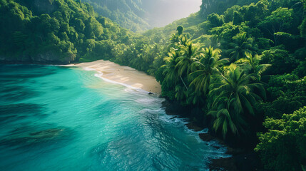 Vista aérea de uma deslumbrante praia deserta, situada no meio de uma vasta floresta tropical exuberante