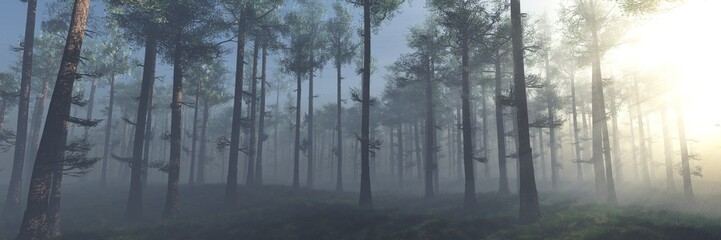 Pine forest in the morning in the sun, 3D rendering - 772337094