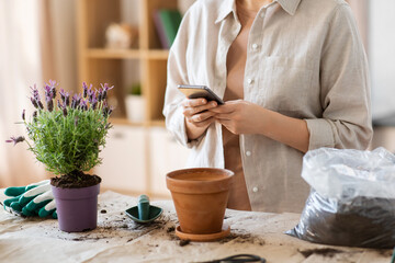 people, gardening and planting concept - close up of woman with smartphone and pot flower at home