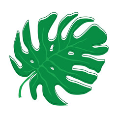 Aesthetic Tropical Leaf