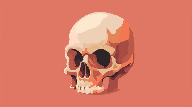 Skull flat cartoon vactor illustration isolated background