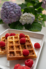 waffles with raspberries on white plate, hydrangea flowers in the background 