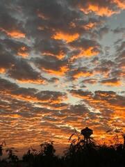 Fototapeta premium Cloud