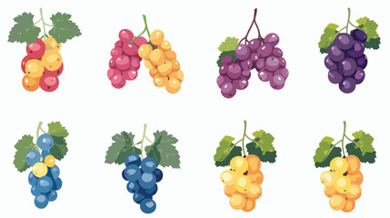 Sweet fruit grapes flat cartoon vactor illustration
