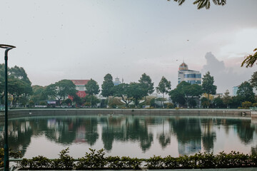 truc giang lake - ben tre province - obrazy, fototapety, plakaty