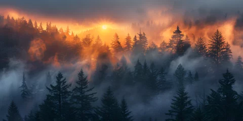Foto op Plexiglas Sunrise in the Tall Trees. Olympic National Forest in Olympic National Park.  generative ai  © Malaika