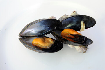 Moscioli or Cozze di Porto-Novo is the name of the mussels collected in the bay of Portonovo in...