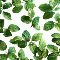 a seamless pattern of green leaves on a transparent background