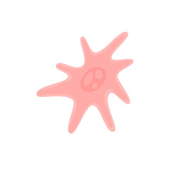 Human Fibroblast Cell Vektor Illustration