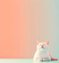 Cute kawaii fluffy smiling cat photography isolated on rainbow pastel pink modern color background with copyspace, flat anime Japanese style aesthetic, poster wallpaper