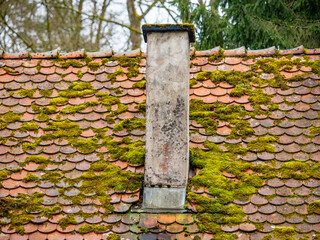 Stark bemoostes Dach eines ungeheizten Hauses