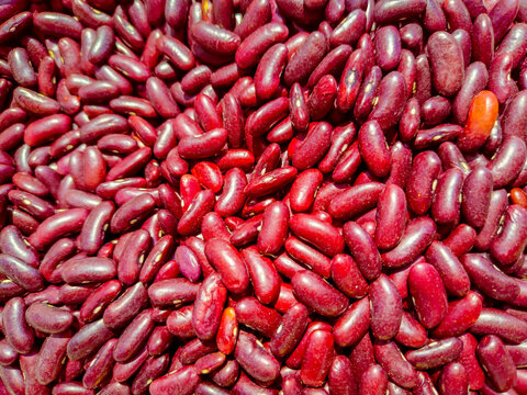 Kidney beans or rajma Closeup Shot at Wholesale market seller. 