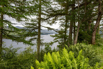 Fototapeta premium Views around Lochcarron