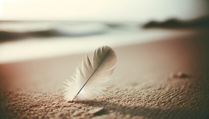 Soft-toned image of a feather resting on a sandy beach, with the camera tilted slightly to enhance the texture contrast,