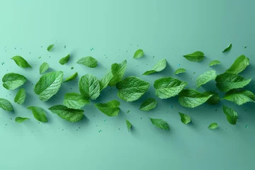 Poster An element for fresheners and cleaners giving a menthol aroma. Air flow from mint leaves. Modern illustration. © Diana