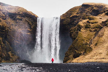 Woman are standing and watch at the great Skogafoss Falls.  In the morning is cloudy, with yellow grass from icelandic winter all over the area. In southern iceland. 