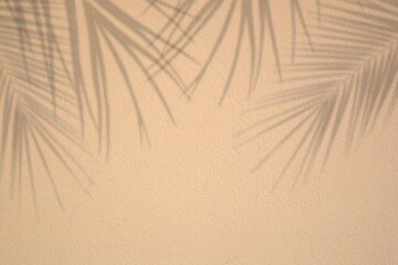 Realistic palm leaf shadow on beige wall background. mockup of tropical palm tree  for cosmetic concept 