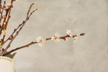 Spring bouquet of blooming branches of apricots, sakura, cherries in a vintage vase - 772378618