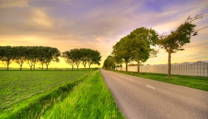 Fototapeten Dutch country road with trees alongside in rural Holland at sunset. © Alex de Haas