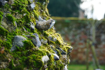 Fototapeta na wymiar Moss on the old stone wall, Abbey Gardens, UK, Suffolk February 2024