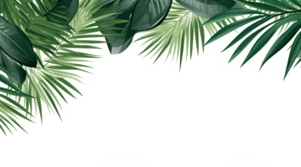 tropical frame with green palm leaves and tropical plants leaves