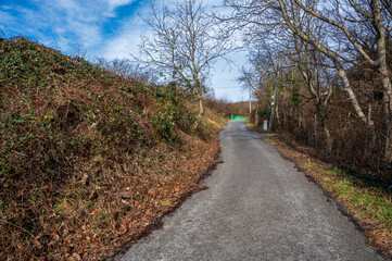 Fototapeta premium Narrow asphalt road in the autumn forest.