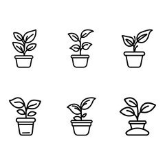 SIX POTTED PLANTS, UNCOLORED OUTLINED DRAWING