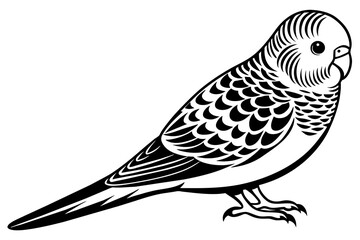 budgerigar-icon-vector-illustration