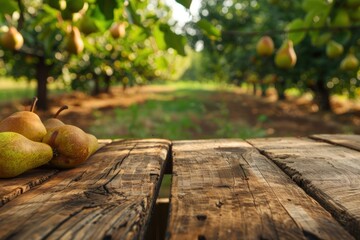 Empty rustic old wooden boards table copy space with pear trees orchard in background. Some ripe fruits on desk - obrazy, fototapety, plakaty