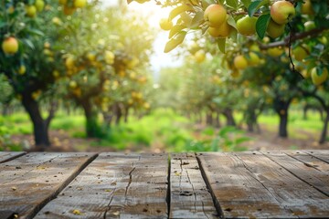 Naklejka na ściany i meble Empty rustic old wooden boards table copy space with pear trees orchard in background. Some ripe fruits on desk