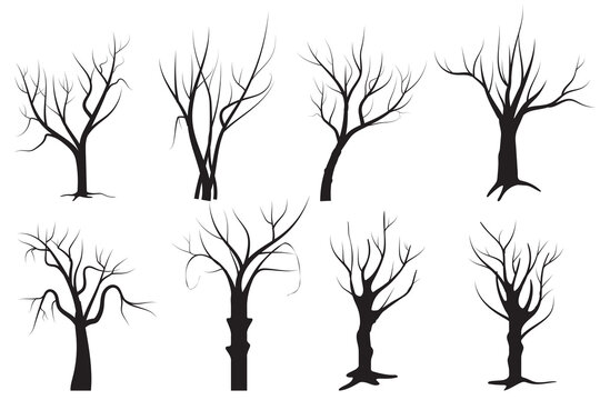 Set of Naked tree vector. Bare tree vector, icon, symbol design. Set of dead tree silhouettes, vector. Halloween tree vector design. Tree without leaves