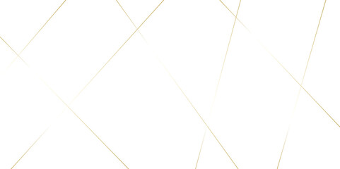 Abstract white background with golden lines Vector, Elegant concept design with golden line.