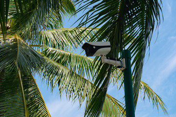 Security digital camera with palm trees , security , safety on the beach during holidays .