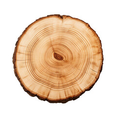 slice tree trunk isolated on transparent background, PNG available - obrazy, fototapety, plakaty