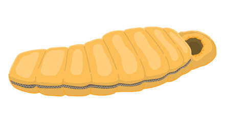 Camping sleeping bag doodle. Clipart of hiking equipment, travel attribute. Cartoon vector illustration isolated on white.