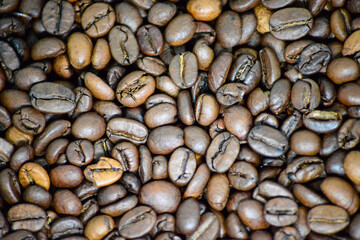 Frisch geröstete Kaffeebohnen