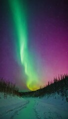 Northern Light illuminating colorful dance night sky, phenomenon Aurora Borealis over a forest road