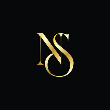 Letter NS in Gold Logo
