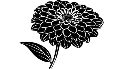 Zinnia Flower Vector Illustrations Blooming Beauties 