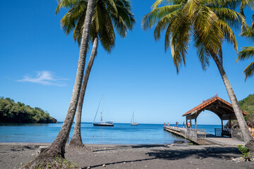 Martinique Anse Noire beach - obrazy, fototapety, plakaty