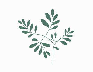 Branch with leaves Isolated on a white background. Flat style with line. Minimal flora design. Vector illustration