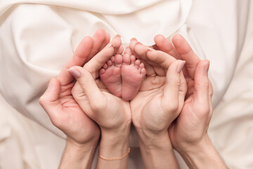 Children's feet in the arms of their parents. On a white background.