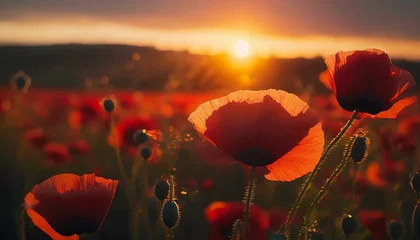 Tuinposter  Poppy Fields. Sunset Blooms  © Marko