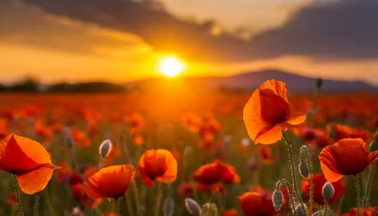 Fototapete Rund  Poppy Fields. Sunset Blooms  © Marko