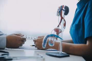 Doctor uses anatomical model to explain male urinary system. Model labeled with parts, doctor...