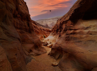 Golden Hour View of Canyon Landscape Close to Sharm el Sheikh in Egypt